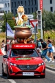 tour de france (8)